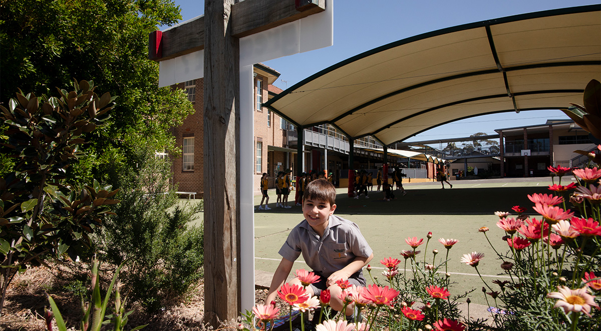Teacher and Faith in Action Teams Coordinator