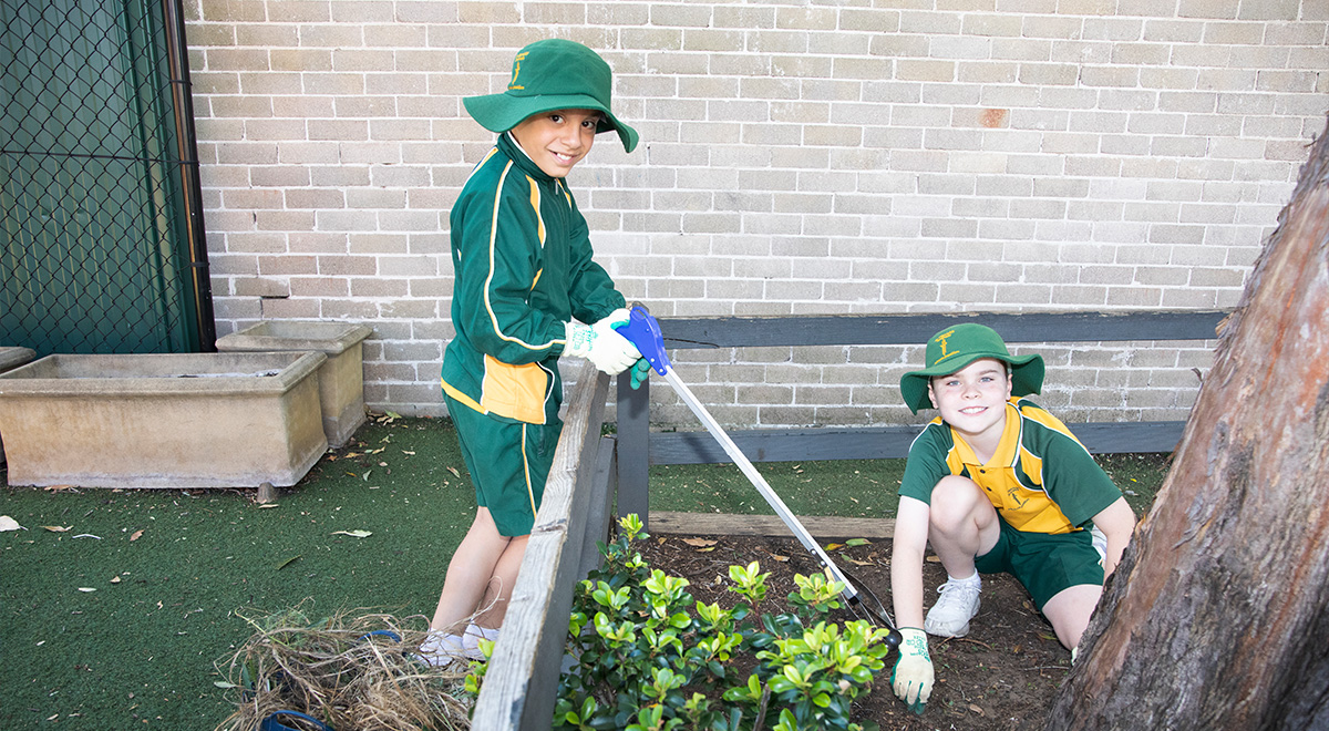 Diversity Leader and Literacy Coordinator