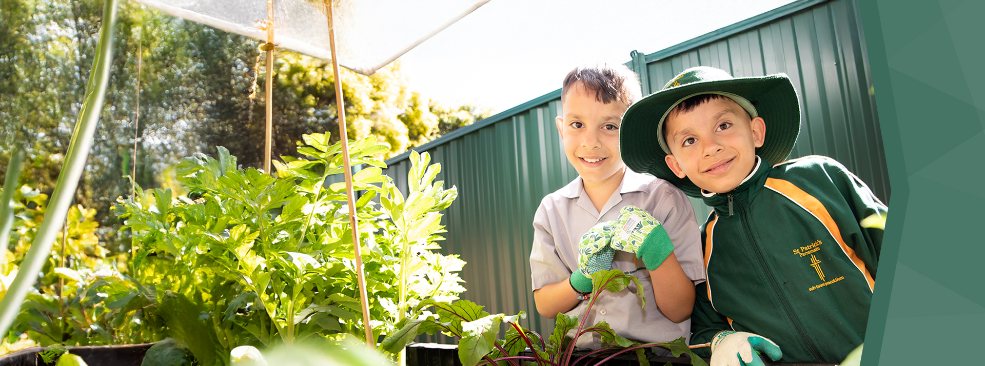 St Patrick's Catholic Primary Parramatta students working in vegetable garden