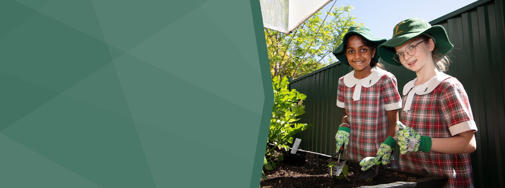 St Patrick's Catholic Primary Parramatta students working in vegetable garden