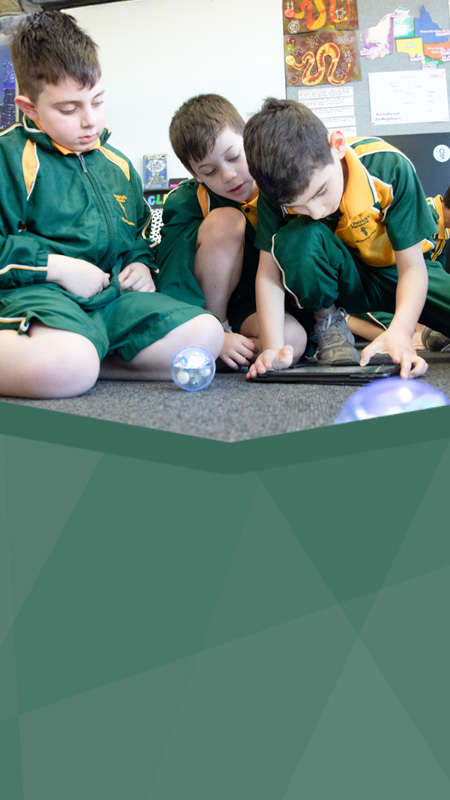 St Patrick's Catholic Primary Parramatta students learning with iPad