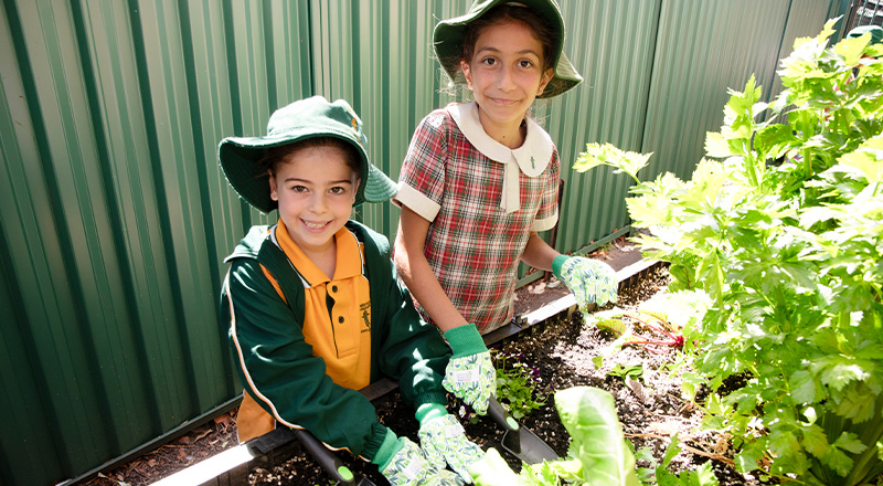 St Patrick's Catholic Primary School Parramatta students gardening