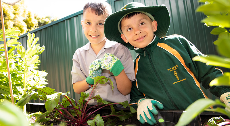 St Patrick's Catholic Primary School Parramatta students gardening