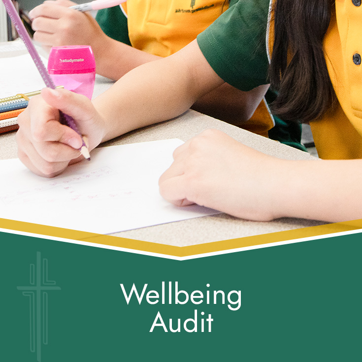 St Patrick's Catholic Primary School Parramatta student participating in wellbeing audit