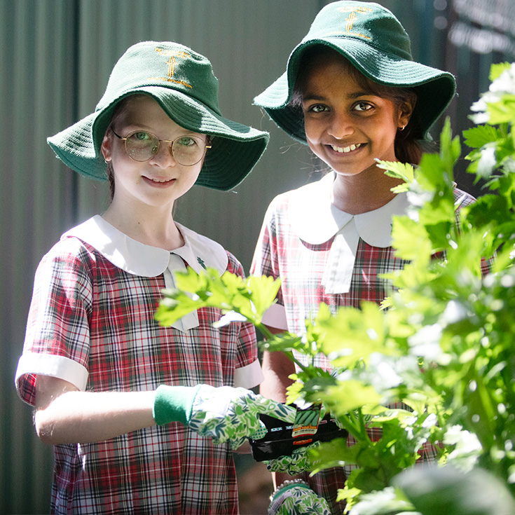 St Patrick's Catholic Primary School Parramatta students in gardening club