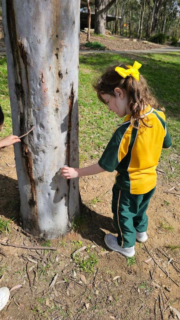 975098801070667_1307703044476906-1