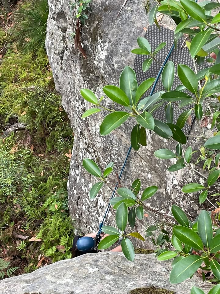 975098801070667_1379213360659207-1