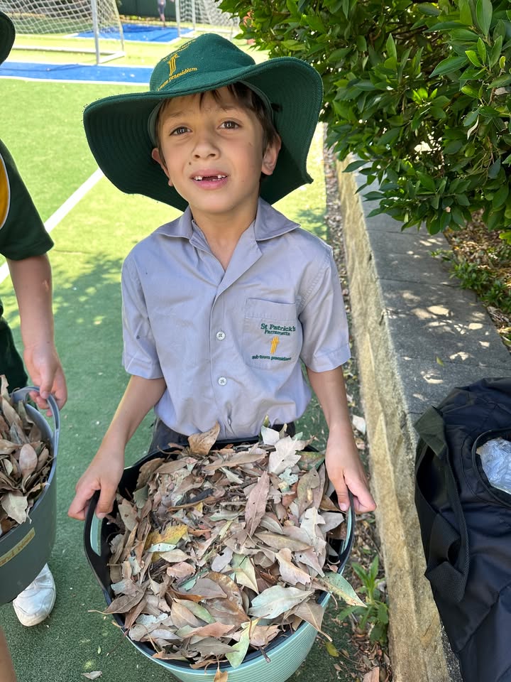 975098801070667_1398944635352746-1